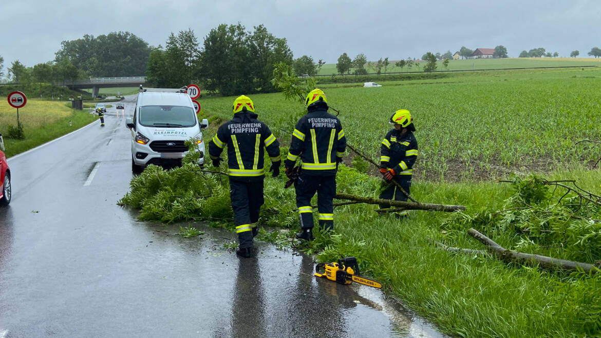 Baum über Straße